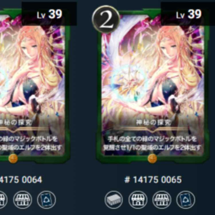 神秘の探究 2枚　Lv39 Lv39 ゴールド スピあり