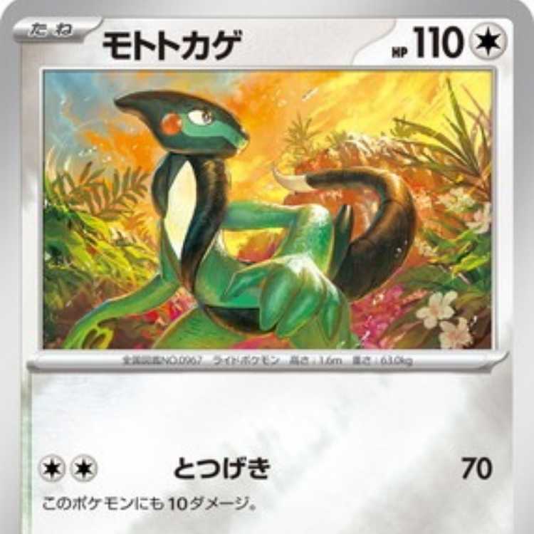 PK-WCS23-015 Moto lizard x10 1枚