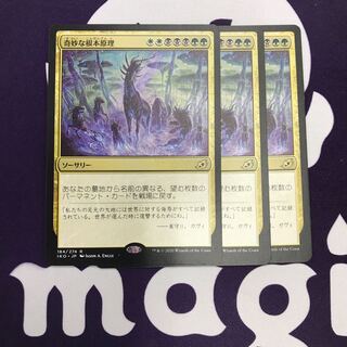 奇妙な根本原理 3枚