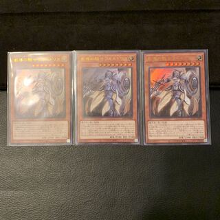 教導の騎士フルルドリス UR