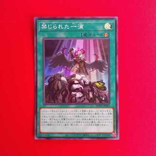 禁じられた一滴 SR　ROTD-JP065