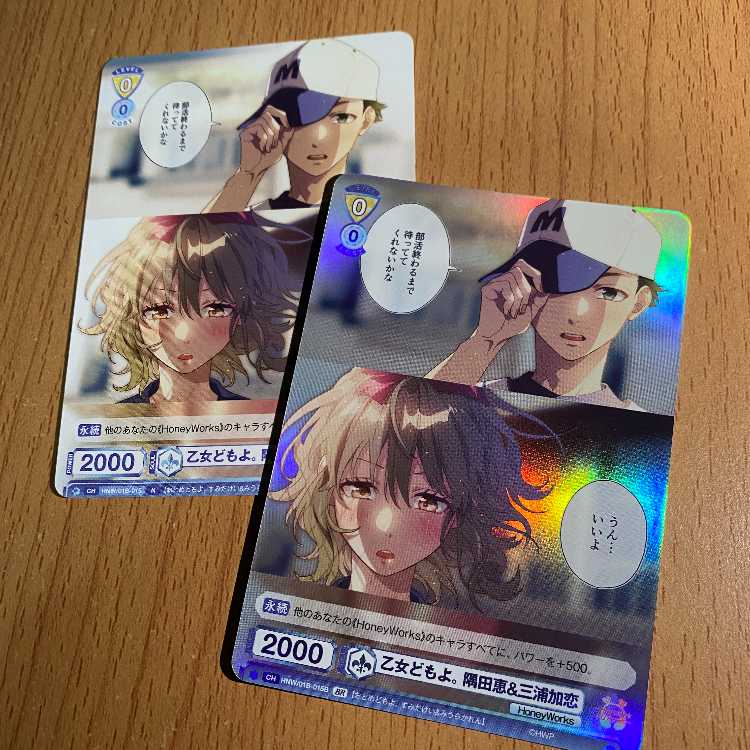 BR 乙女どもよ。 隅田恵&三浦加恋[WSB_HNW/01B-015B]+おまけ