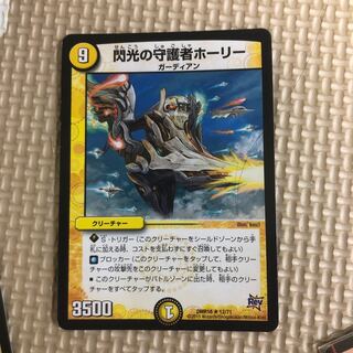 閃光の守護者ホーリー