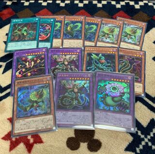 捕食植物キメラフレシア セット