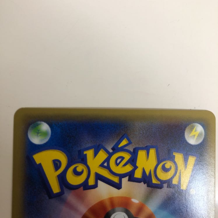 カケル様専用　闘エネ、フェアリーエネ、モルペコ