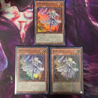 てんせー様専用教導の聖女エクレシア SR 6枚