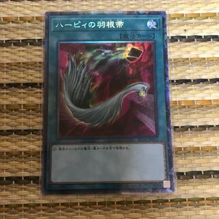 マドレース ハーピィの羽根帚 CR