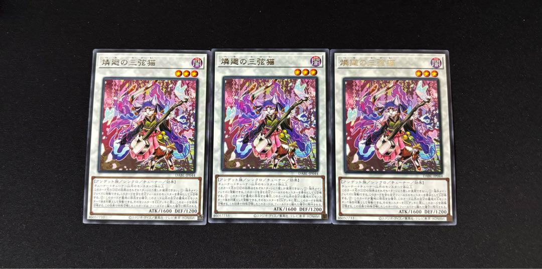 Rin Kai no Sangen Neko Rare JP044