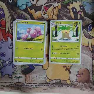 ナッシー進化ラインセット