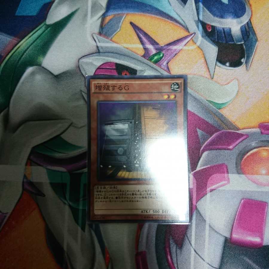 てつおじ様 1枚