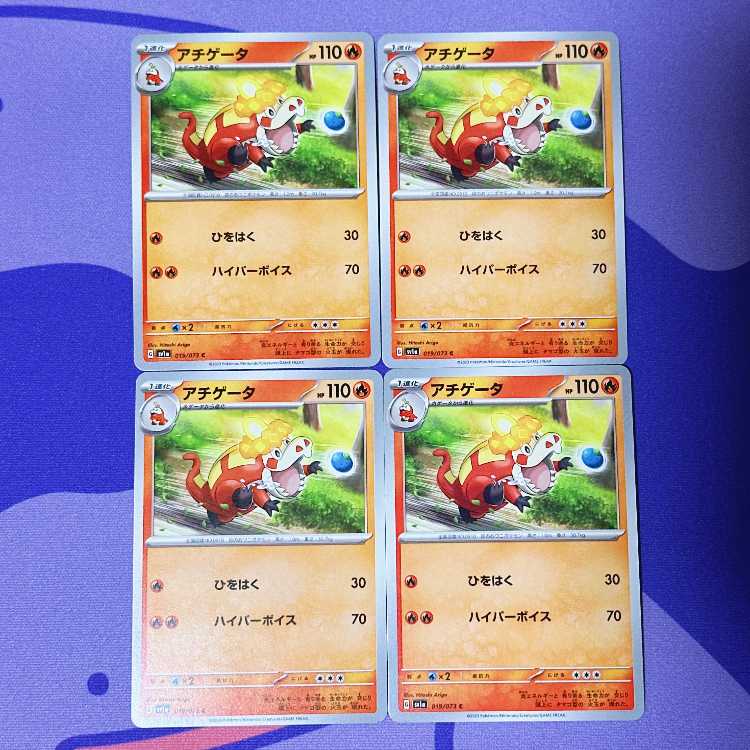 アチゲータ C 019/073