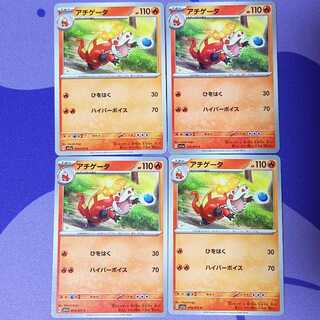 アチゲータ C 019/073