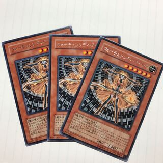 フォーチュンレディ・アーシー