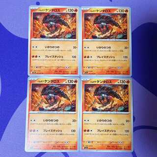 Pardea Tauros U 011/073