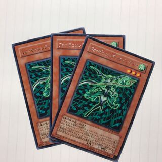 フォーチュンレディ・ウインディー