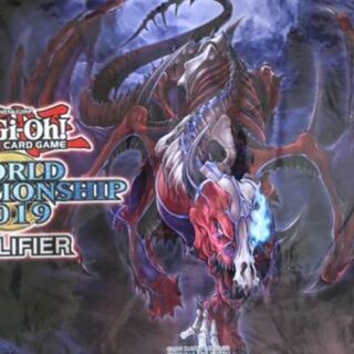 デストルドー プレマ 1枚