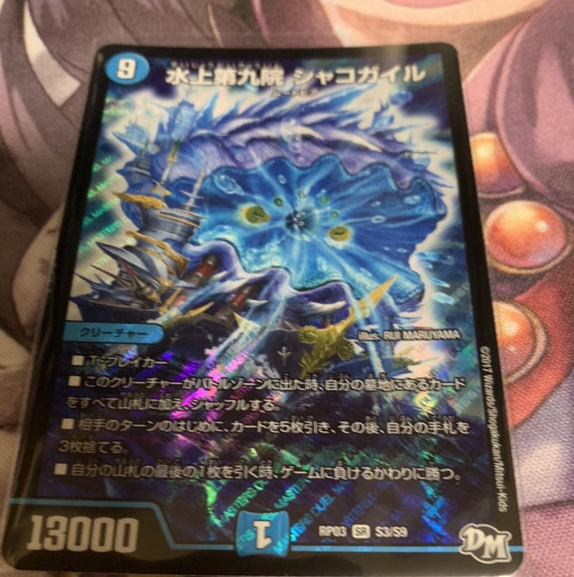 水上第九院 シャコガイル