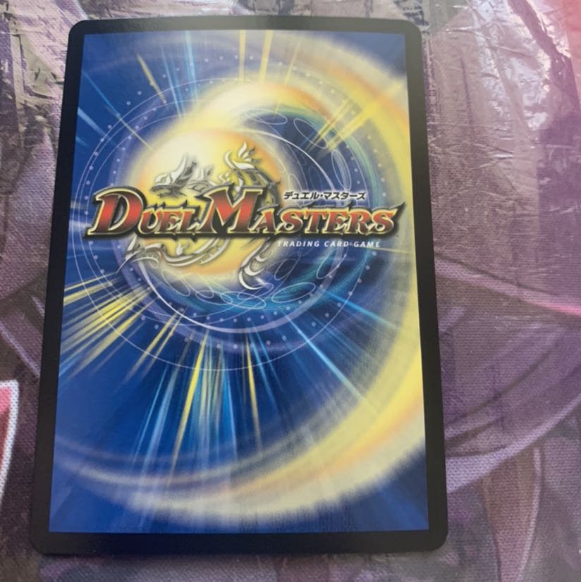 水上第九院 シャコガイル