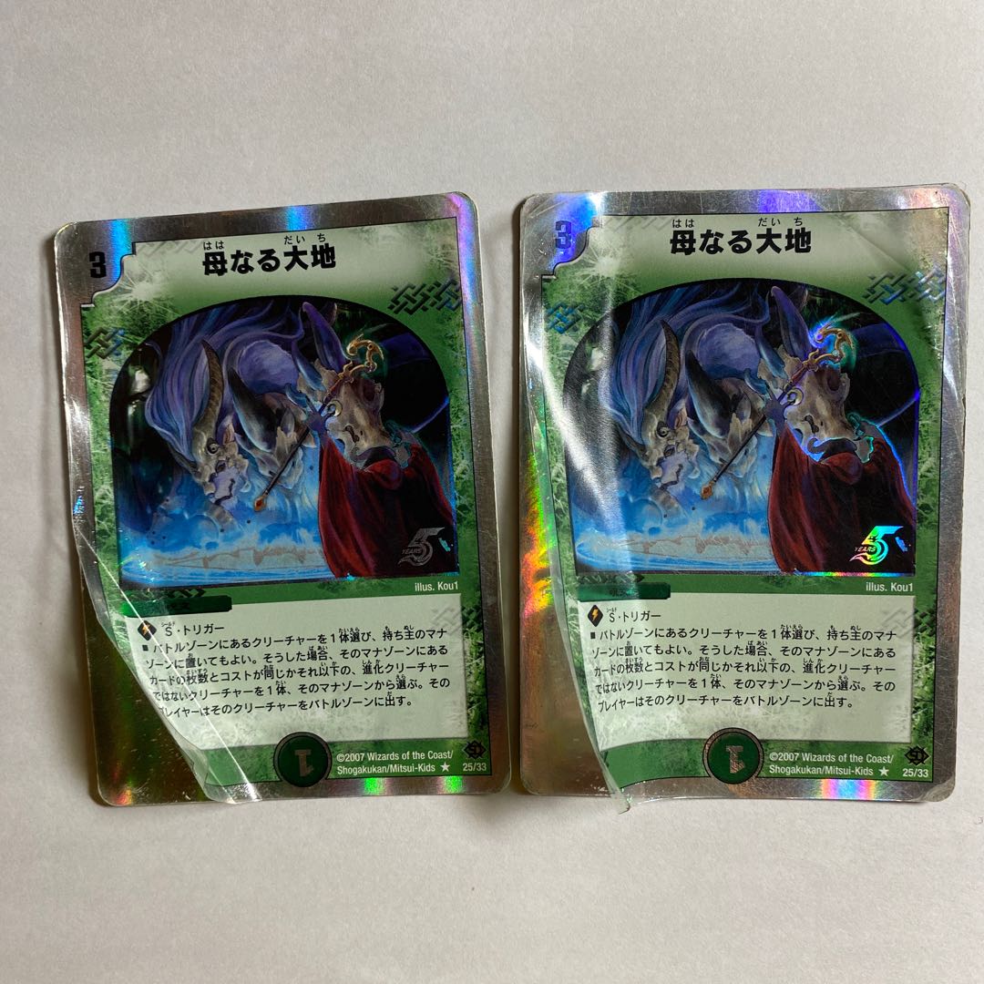 【特価】母なる大地　銀枠　2枚