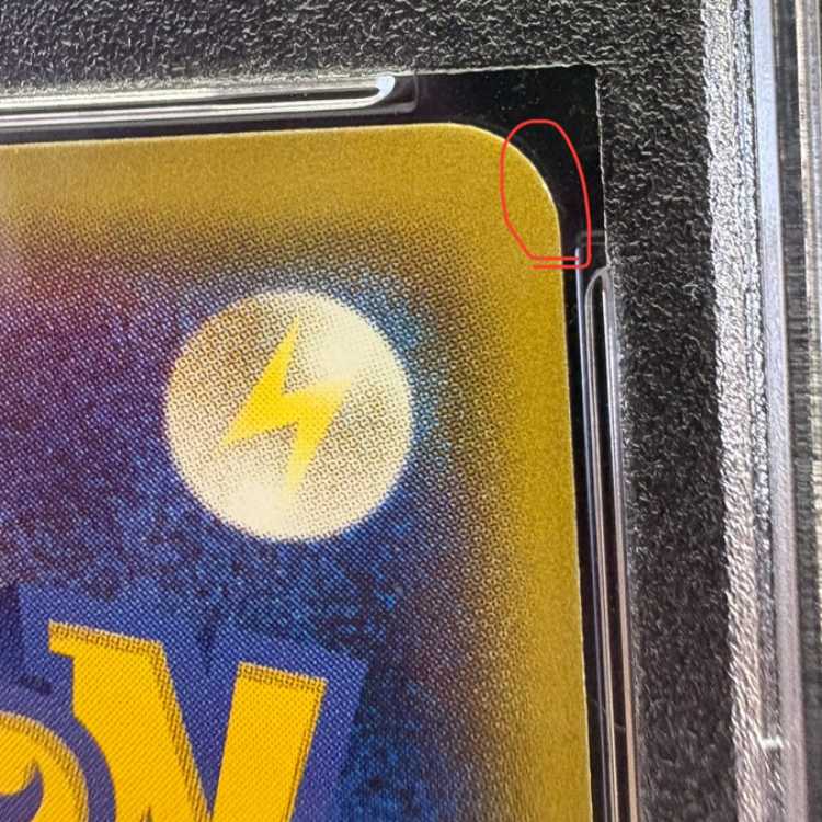 PSA10] Pikachu PROMO 208/XY-P in poncho