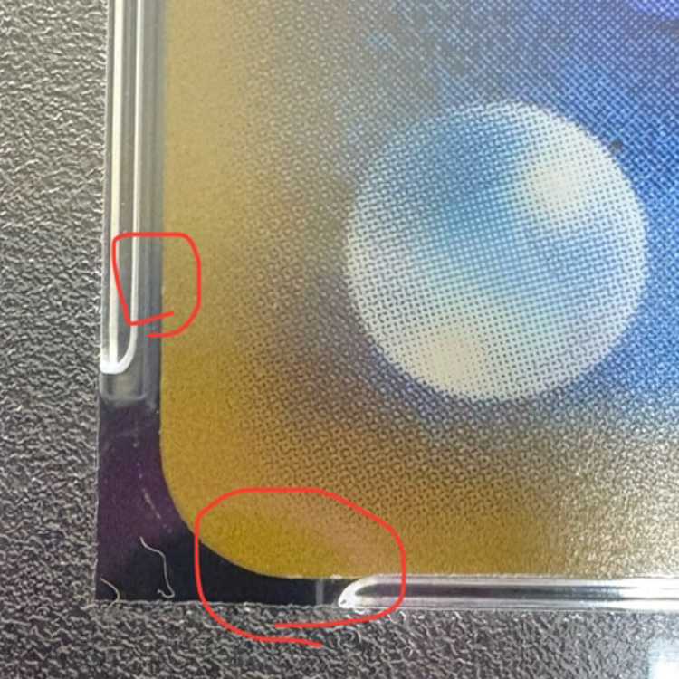 PSA10] Pikachu PROMO 208/XY-P in poncho