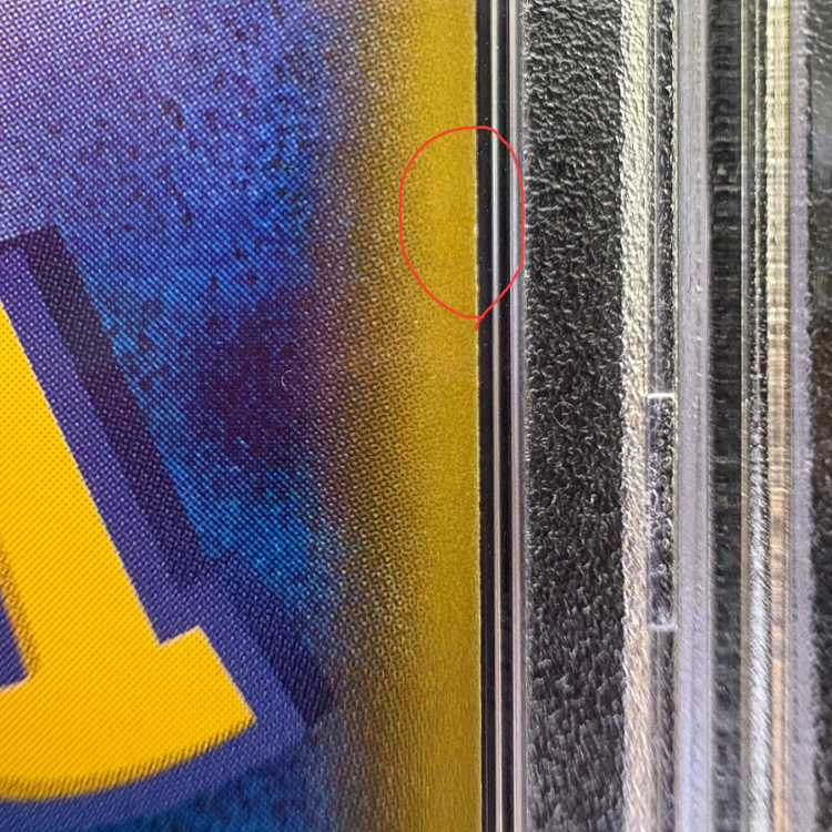 PSA10] Pikachu PROMO 208/XY-P in poncho