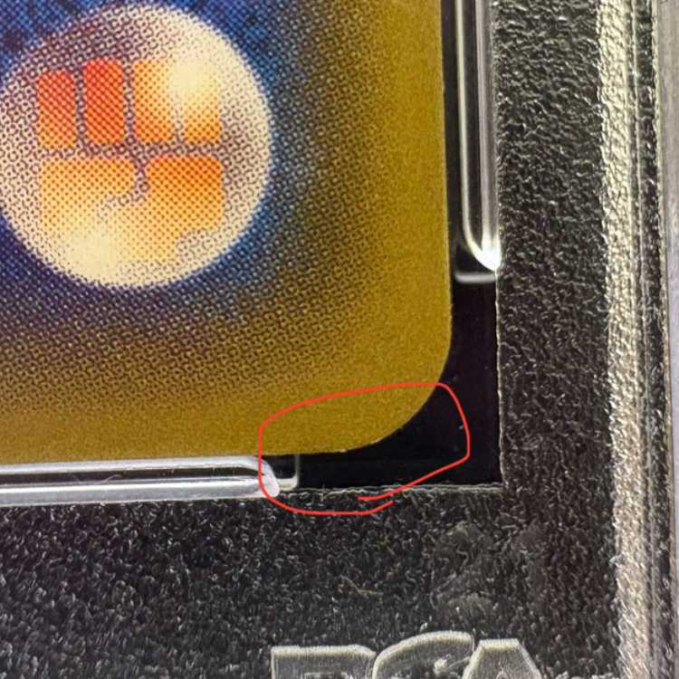 PSA10] Pikachu PROMO 208/XY-P in poncho