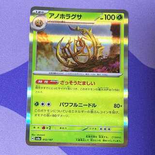 Anohoragusa (R spec.) 012/187