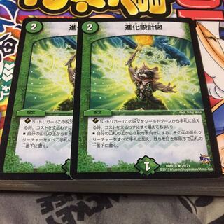 進化設計図 2枚セット