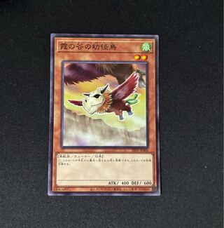 Mist Valley Baby Roc Normal JP404