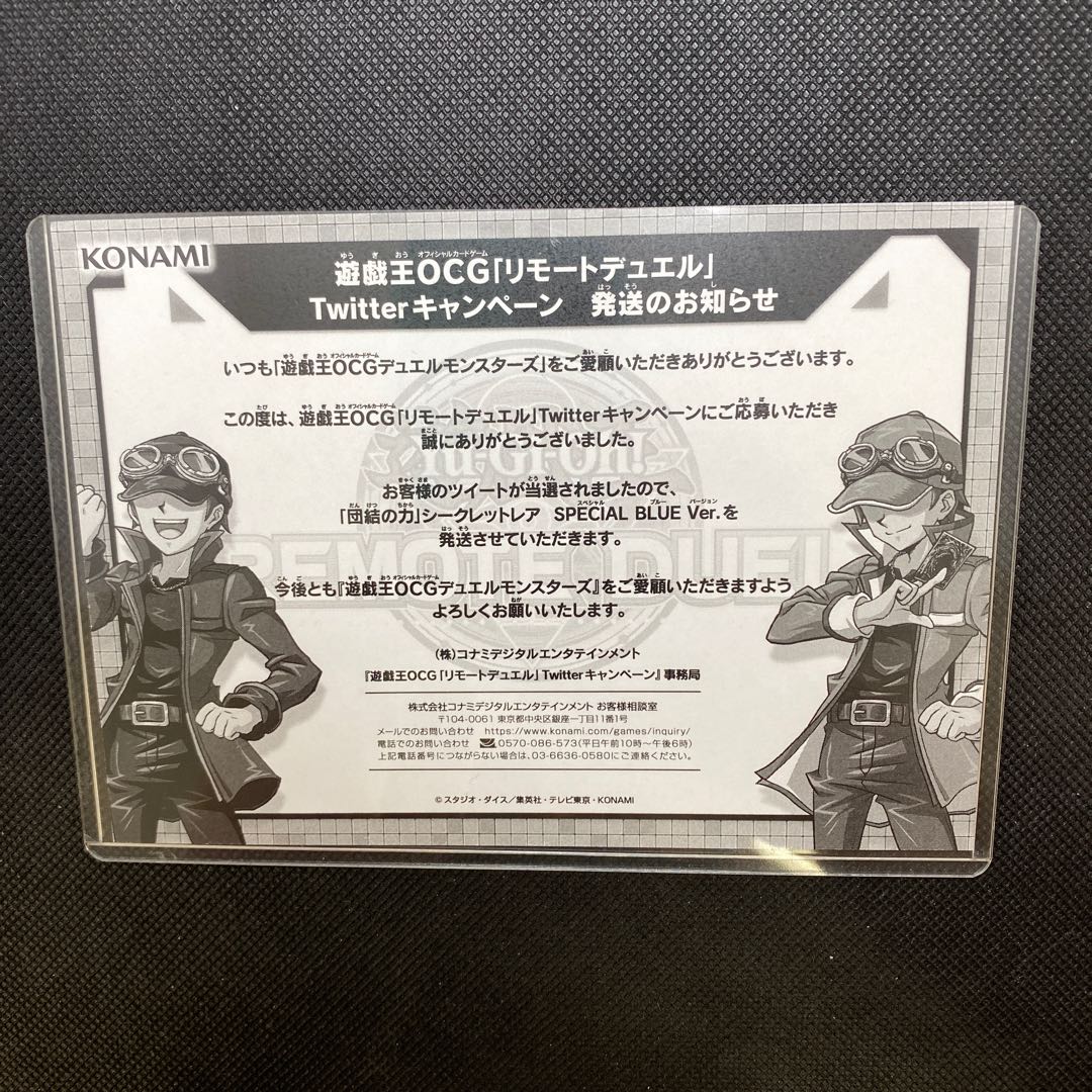 団結の力 ブルシク 未開封品 管理C