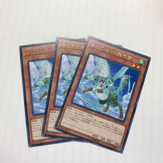 ホップ・イヤー飛行隊