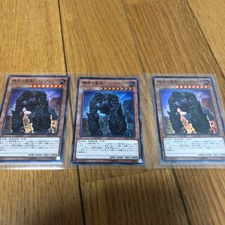 礫岩の霊長ーコングレード SR×3