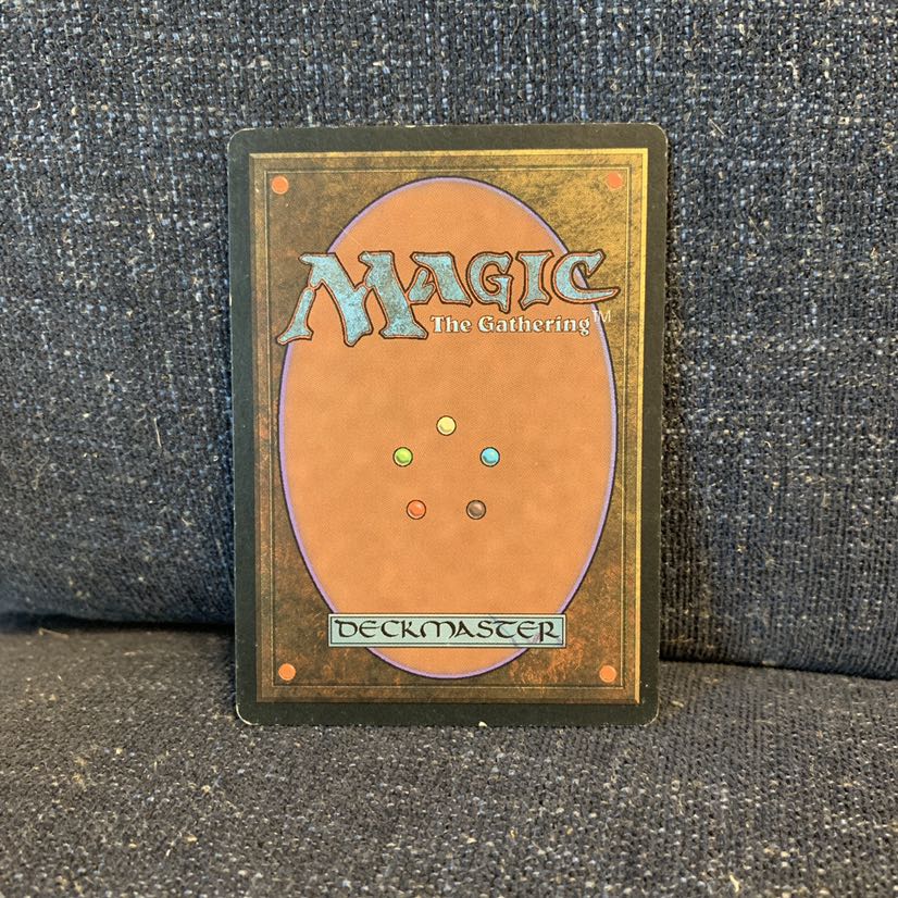 MTG 巻物棚 日本語 1枚 テンペスト