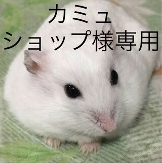 カミュショップさん専用