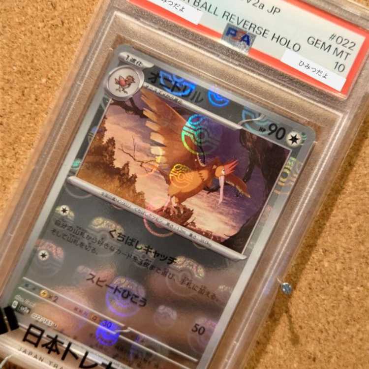 Kanaderi [PSA10] Fearow Masbofoil