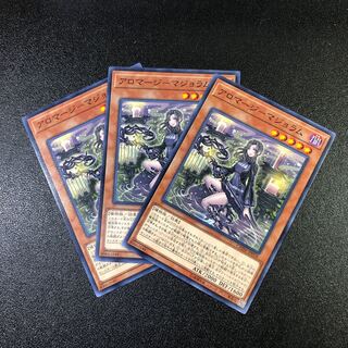 N] Aromage - marjoram [Normal