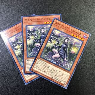 N] Aromaje - Marjoram [Normal