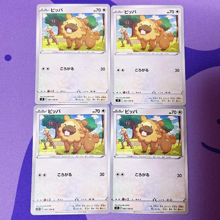 Bidoof C 081/100