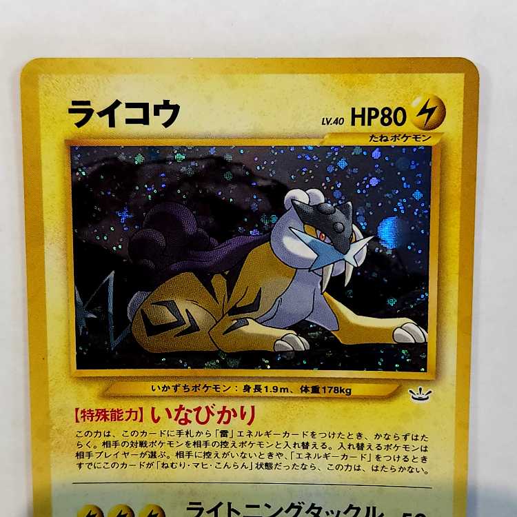 Old Back Raikou Set of 2 25E North E2