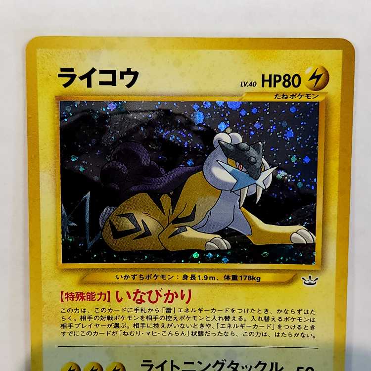 Old Back Raikou Set of 2 25E North E2