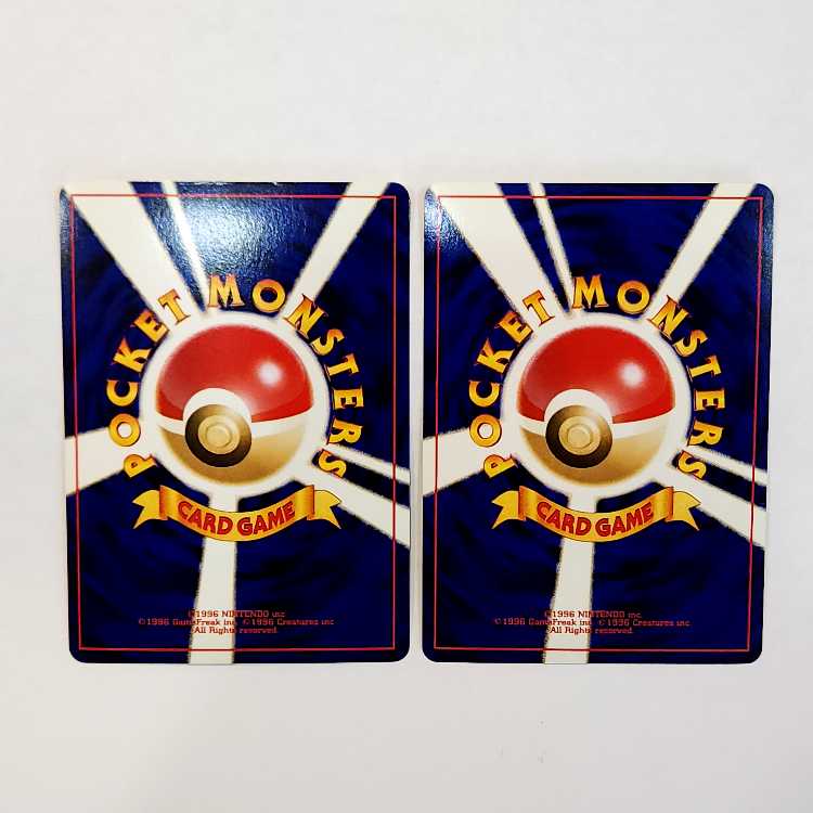 Old Back Raikou Set of 2 25E North E2