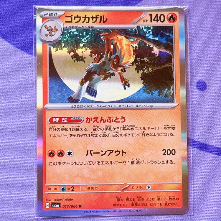 ゴウカザル R 017/066