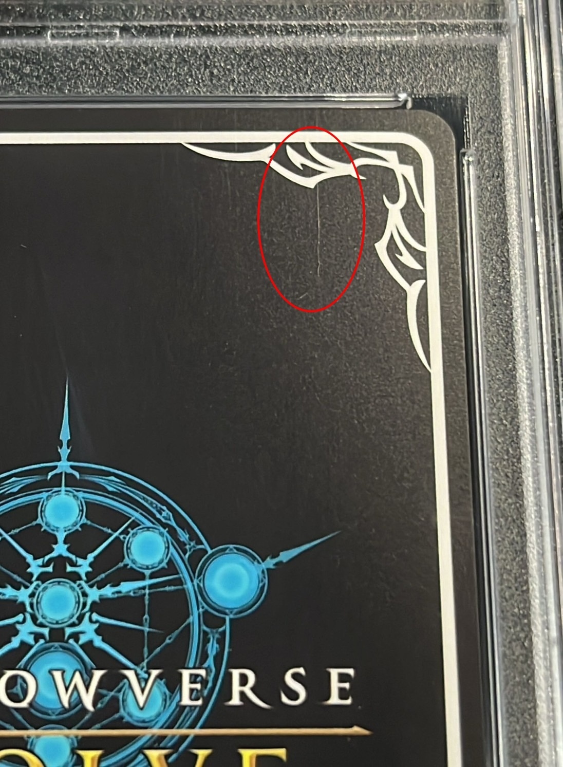 Cang Umi's Prey Upon the Prey, Sha Hanafa Kuroe [SP] {BP06-SP02}