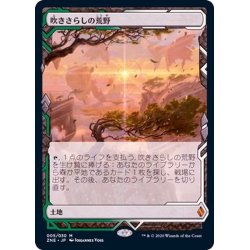 (FOIL)(Full Art)Windswept Heath/Windswept Heath《Japanese》 [ZNE