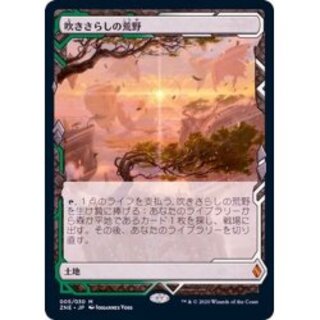 吹きさらしの荒野」の激安通販 | magi
