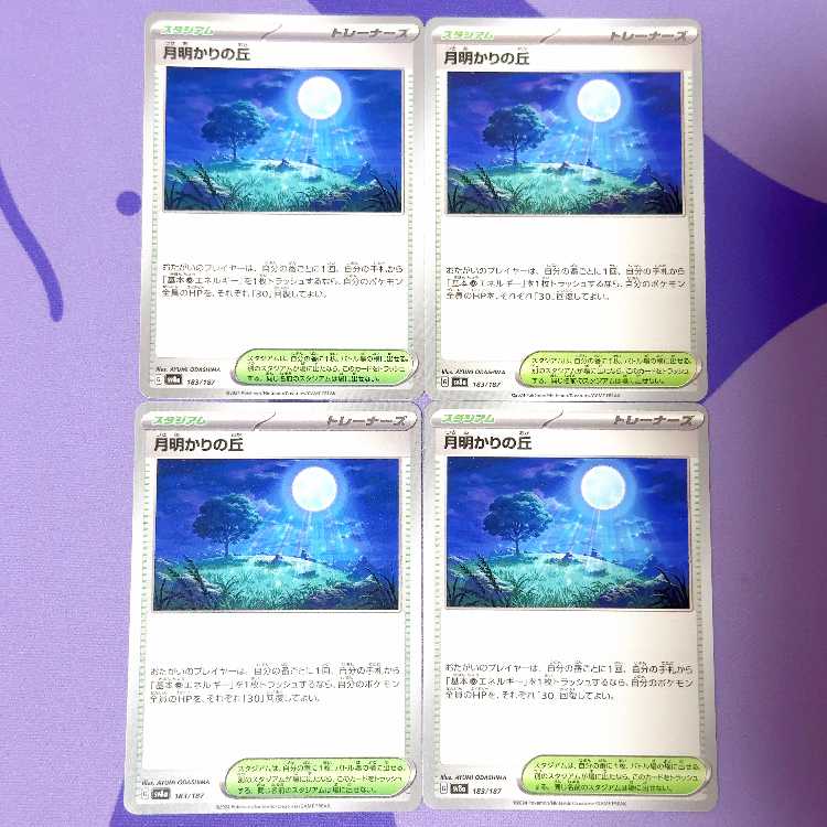 月明かりの丘 183/187