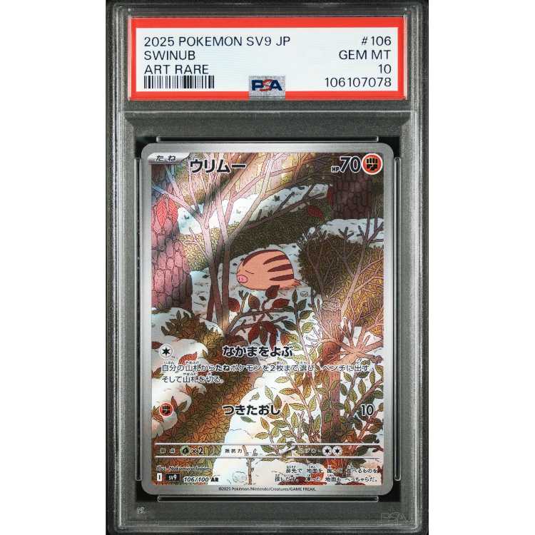 PSA10] Swinub AR 106/100