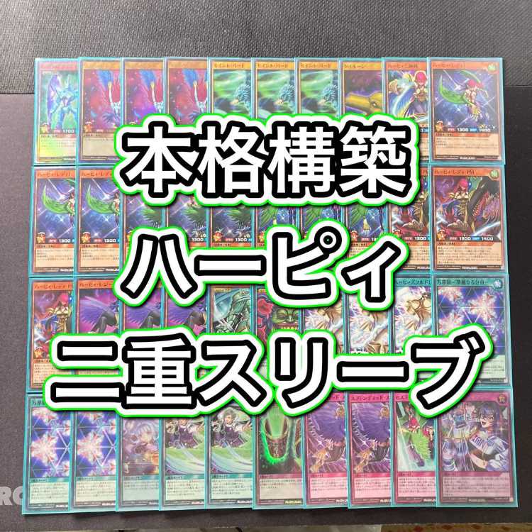 1103環境 本格構築 【HEROビートデッキ】メイン＆EX＆二重スリーブ 1103環境 本格構築 【HEROビートデッキ】EX＆二重スリーブ 《 E