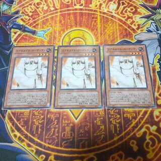 Koa'ki Meiru Guardian Normal JP023